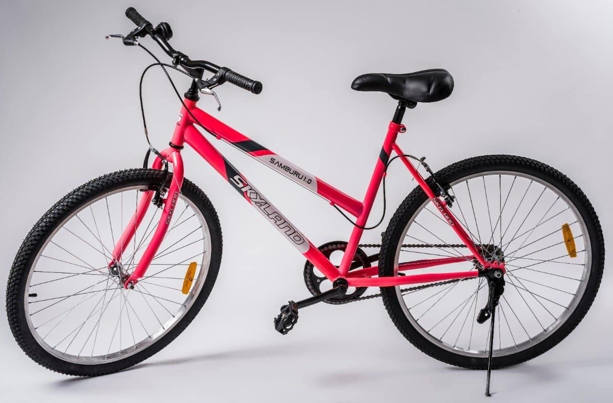 Bicicleta De Dama Skyland Rodado 26 Mtb Sin Cambios Samburu